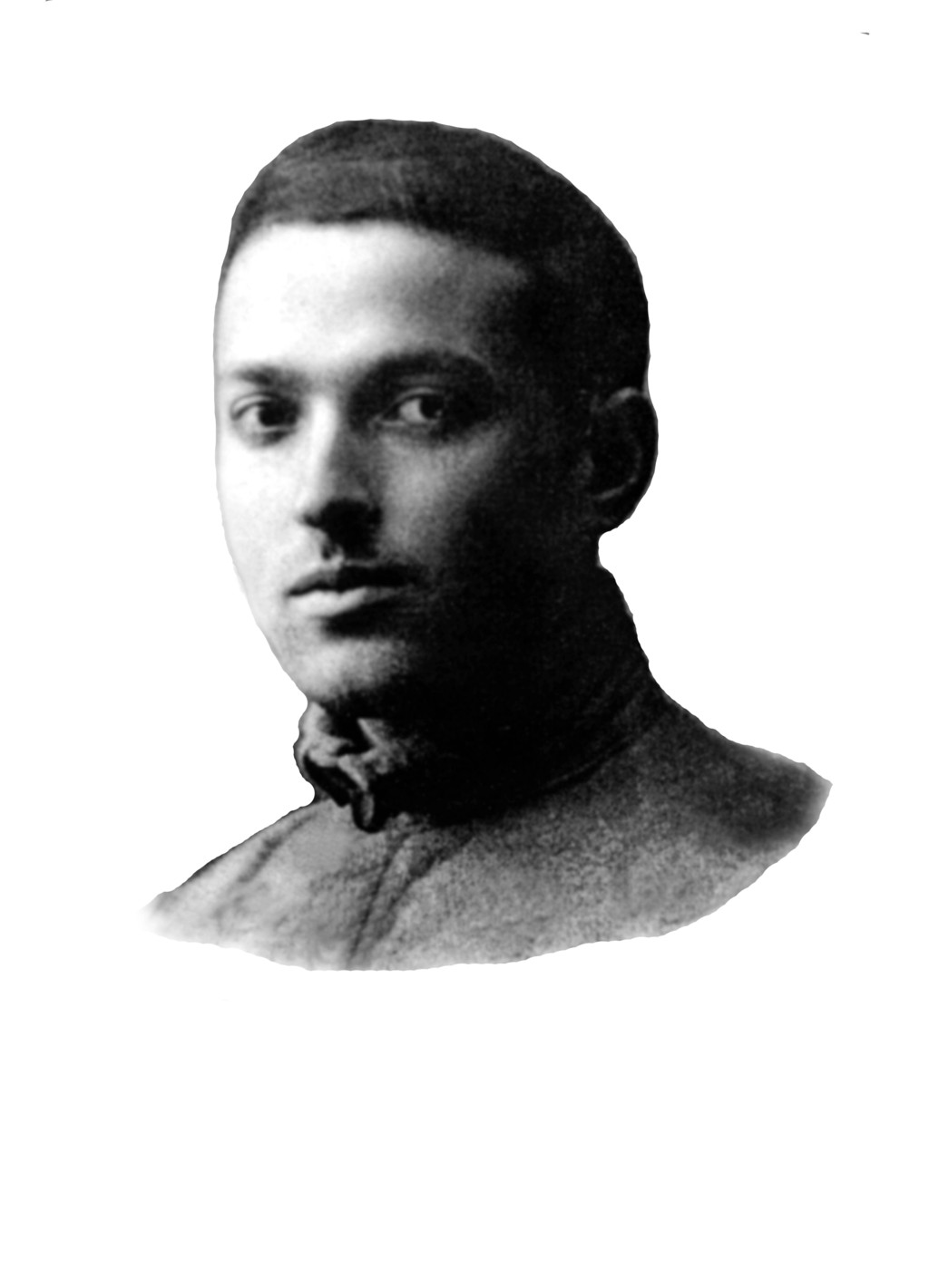 lev vygotsky account