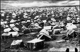 Camp de rfugis palestiniens, 1970