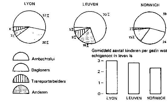 Kenmerken van de armmen in Lyon, demografisch en professioneel