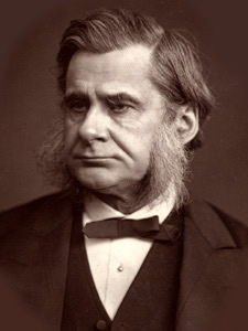 Retrato Thomas Henry Huxley