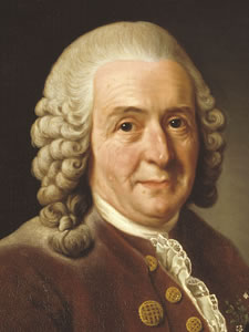 Retrato Carlos Lineu (Carl von Linné)