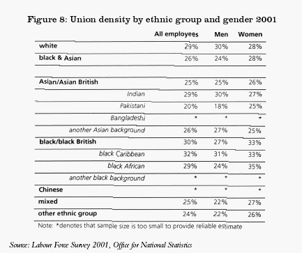Union density by ethnic group and gender