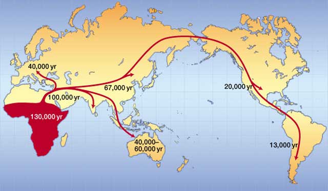 Spread of modern humans
