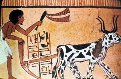 Ancient Egyptian plough