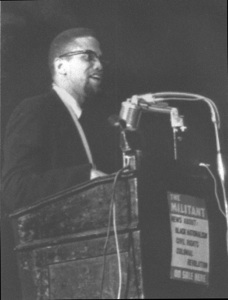 Essay on martin luther king jr and malcolm x