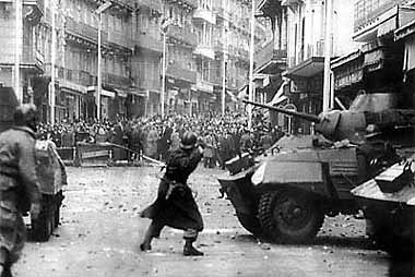 Algerian War Essays