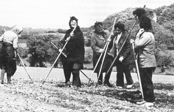 Women in a field