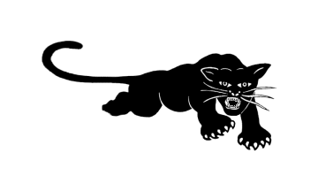 The Blank Panther logo