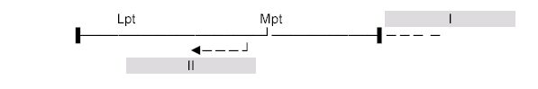 diagram 6