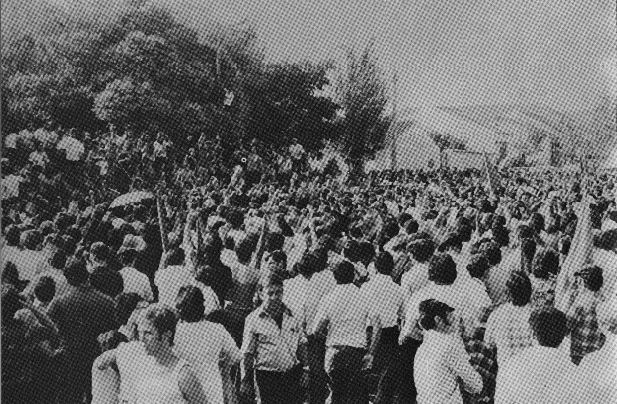 Manifestação no campo