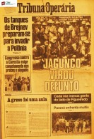 capa nº 29